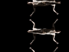 Disrobe Reality: The Paratexual Theatre of Christian McDonough’s Cunus photo