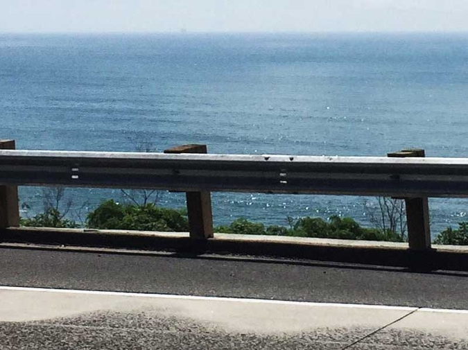 Mrs. Dalloway Said She Would Skip The Flowers And Drive Straight Into The Ocean photo