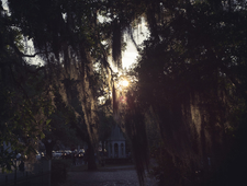 More Lives Than Your Own photo