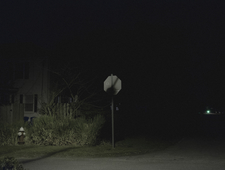 Wild Unknown Country photo