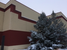 You Would Even Say It Glowed photo