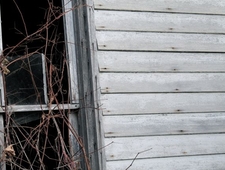 From The World Beneath the Light photo