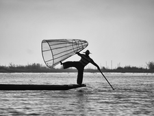 from HOW TO WRITE A LOVE POEM IN A TIME OF WAR   photo