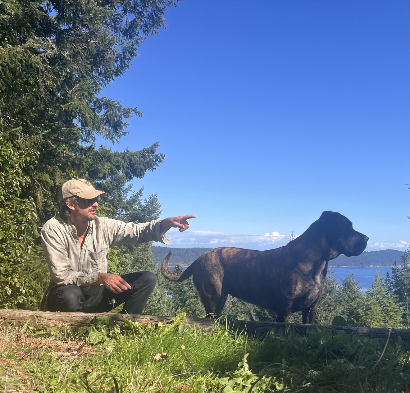 Mackenzie, a Mountain Range, and Manizales Traffic : a three-chapter excerpt from 100ccs by Corey Lof