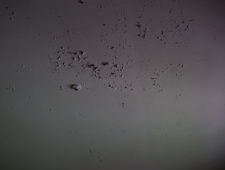 Fold the Dough Like It’s a Letter photo