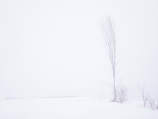 Silence Is Its Own Reward photo