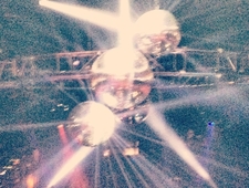 The Fucking Shitbirds photo