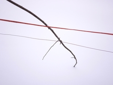 After You Texted photo