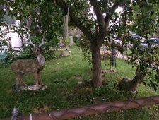 Absence Of The Queen photo