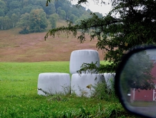 The Great Iowa State Fair Haiku Contest photo