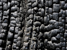 Breaking Up With Pathology photo