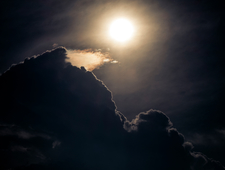 The rabbit's bones photo