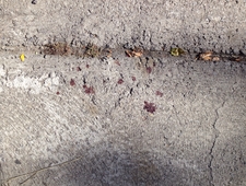 Hinterland Transmissions: The Piece Of Shit That Lives Inside Me photo