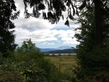 so fast in silence photo