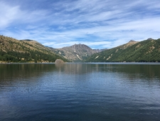 Dispatches From Humanity photo