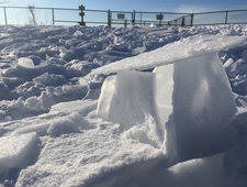 Happy New Year photo