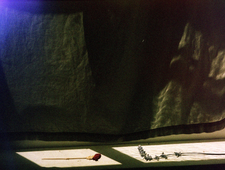 Soundtrack to Ugliness photo