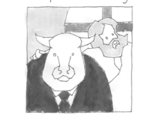 American Jumble photo