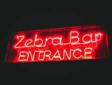 Zebras and Pandas photo