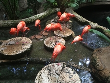 No One Asks the Harpy photo