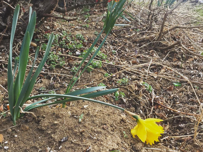 And Even Still the Silk  photo