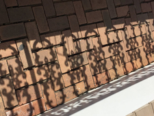 w/ a poor understanding of language  photo