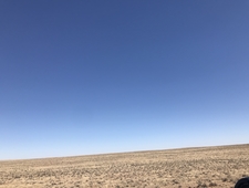 Automatic For The People photo