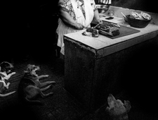 The Collapse of Bee Colonies photo