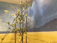 A Story To Spit On photo