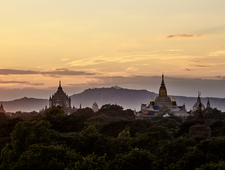 The Bird of Love and Loyalty photo