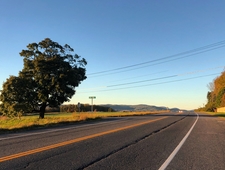 Three Ways To Escape The Trunk of a Car photo