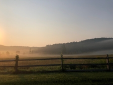 Man on Phone at Gas Station photo