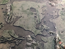 In The Aftermath photo