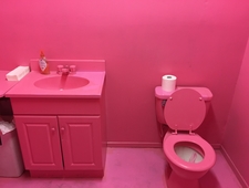 The Ass is a Hole Where The Light Gets In  photo