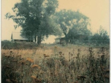 A Good And Simple Life photo