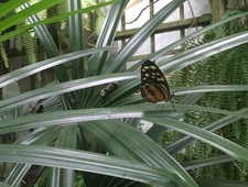 In the Kingdom of Heaven and Mom Blogs photo