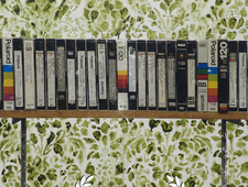 "Afternoon Sex" -- excerpt & accompanying painting, "Two Parrots" photo