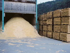 A Kind of Miracle photo