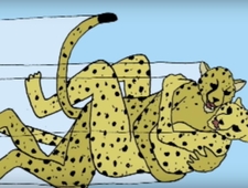 "Cat People Run, Run Like the Wind, Cat People Screw, Screw Like the Wind” (Neely) photo