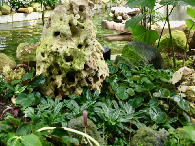 Everything We Eat Used to Be Alive, or Still Is  photo