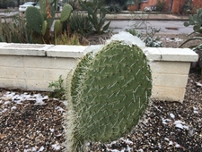 sadness dies badly like a waiting room plant photo