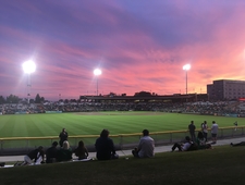 The Slugger, The Ace, The Shortstop, The Catcher, The Pinch Hitter photo