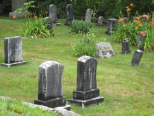 Invisible Mosquitoes photo