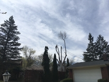 Some Notes on Escape  photo