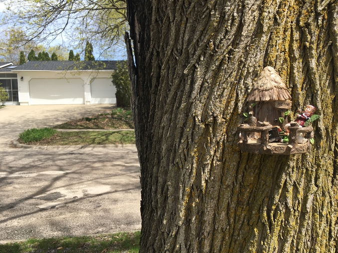 The Sounding Ax photo