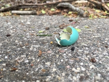 a constellation of stars fall from the sky photo