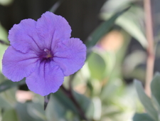 Hiding in the Bomb Shelter with a Baby Monitor: An Interview with B.J. Hollars photo