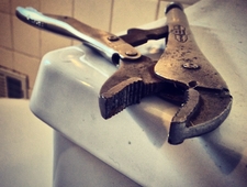 Dear Money Shot photo