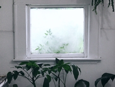 No One Has Ever Been Raptured photo