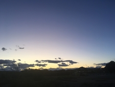 We Fat Ourselves For Maggots photo